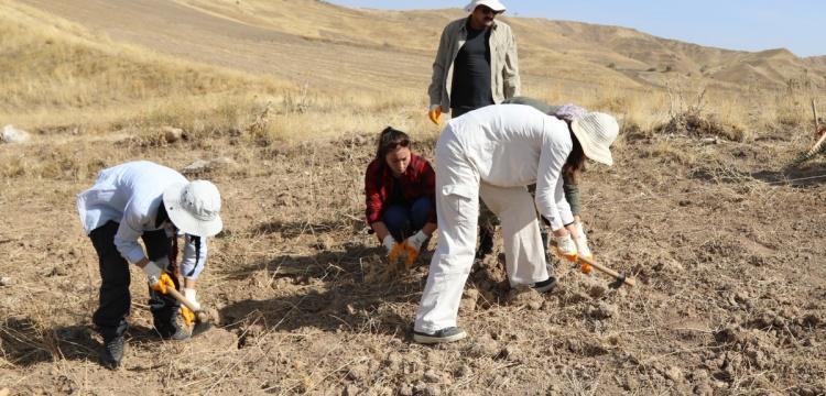 Ankara Savaşı'nın yerinin arandığı arkeoloji kazılarında toplu mezar bulundu