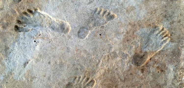 US Geological Survey: Oldest human footprints in America are definitely more than 20,000 years ago