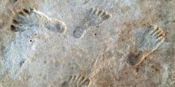 US Geological Survey: Oldest human footprints in America are definitely more than 20,000 years ago