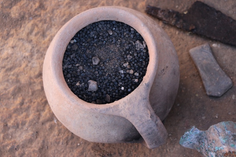 Karabük'te yaklaşık 1500 yıllık buğday, fiğ ve yoğurt otu tohumları bulundu