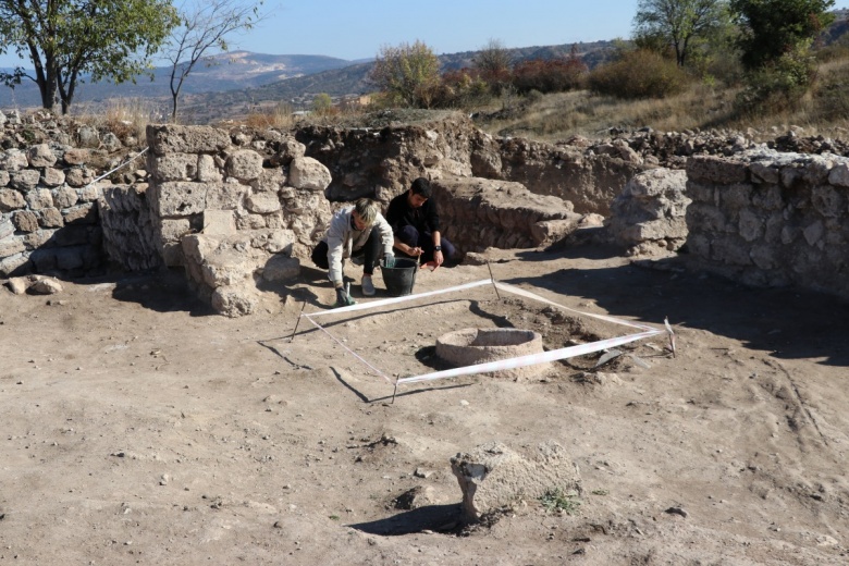 Karabük'te yaklaşık 1500 yıllık buğday, fiğ ve yoğurt otu tohumları bulundu