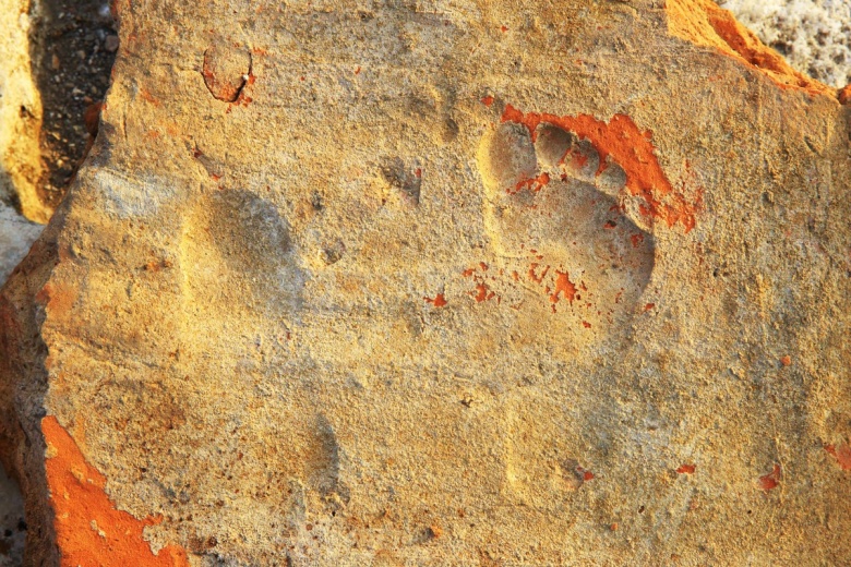 Stratonikeia Antik Kenti'ndeki Roma hamamında 1900 yıllık çocuk ayak izlerine rastlandı