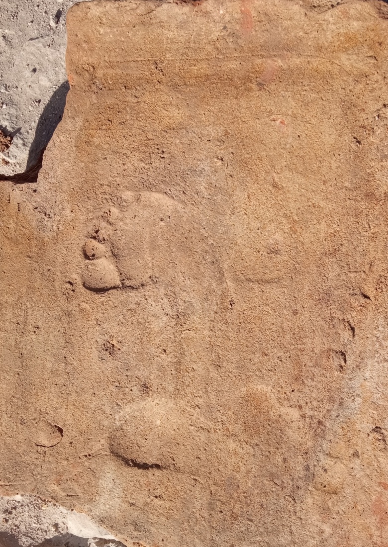 Stratonikeia Antik Kenti'ndeki Roma hamamında 1900 yıllık çocuk ayak izlerine rastlandı