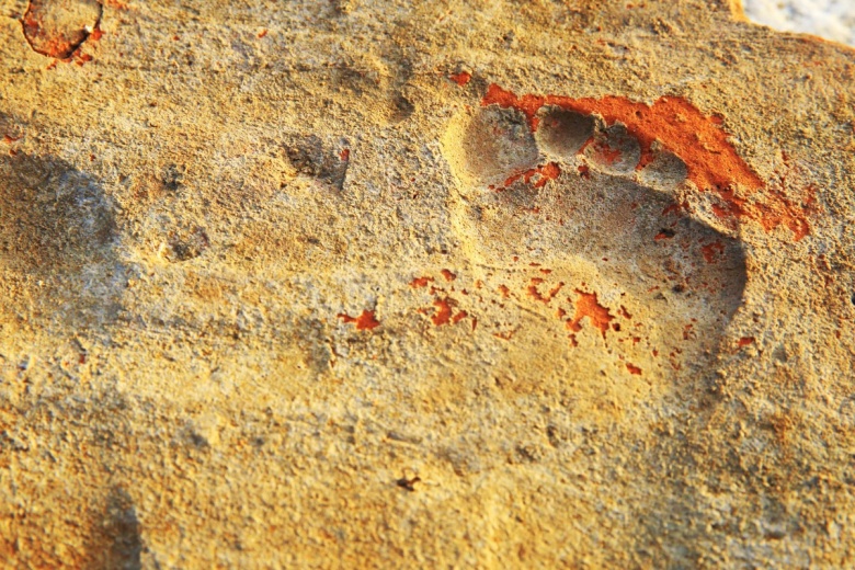 Stratonikeia Antik Kenti'ndeki Roma hamamında 1900 yıllık çocuk ayak izlerine rastlandı