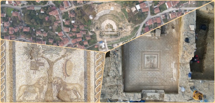 Düzce'de Dionysos tapınım alanı ve çift aslanlı mozaik keşfedildi