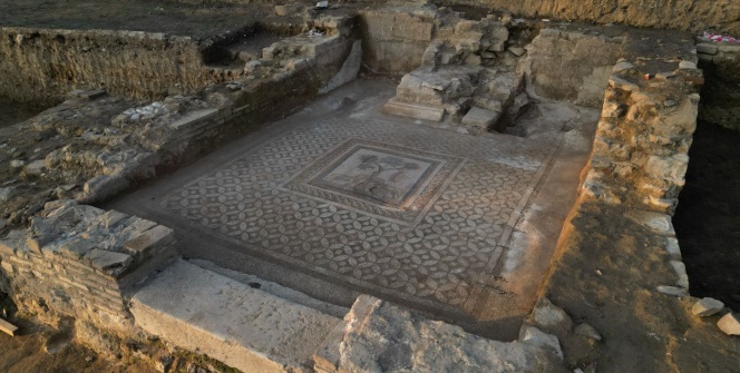 Düzcede şarap tanrısı Dionysosa ait alanda çift aslanlı mozaik bulundu