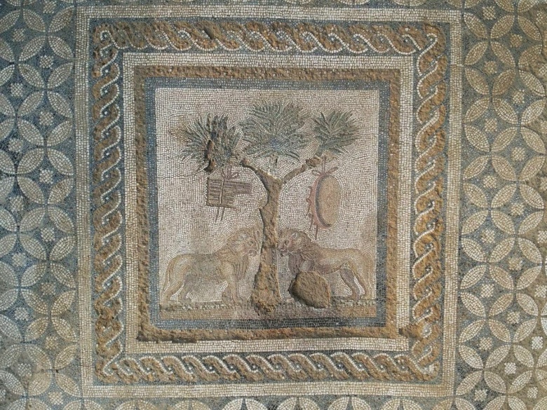 Düzce'de şarap tanrısı Dionysos'a ait alanda çift aslanlı mozaik bulundu