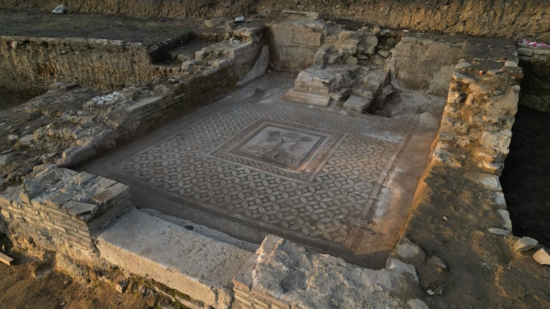 Düzce'de şarap tanrısı Dionysos'a ait alanda çift aslanlı mozaik bulundu