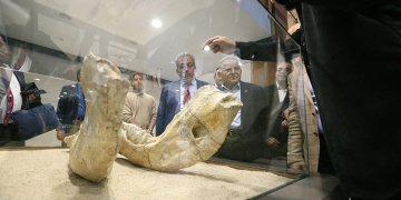 Kayseri Büyükşehir Belediye binasında fosiller sergilenecek