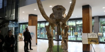 Kayseri Büyükşehir Belediyesi Fuaye Alanında fosiller sergisi açıldı