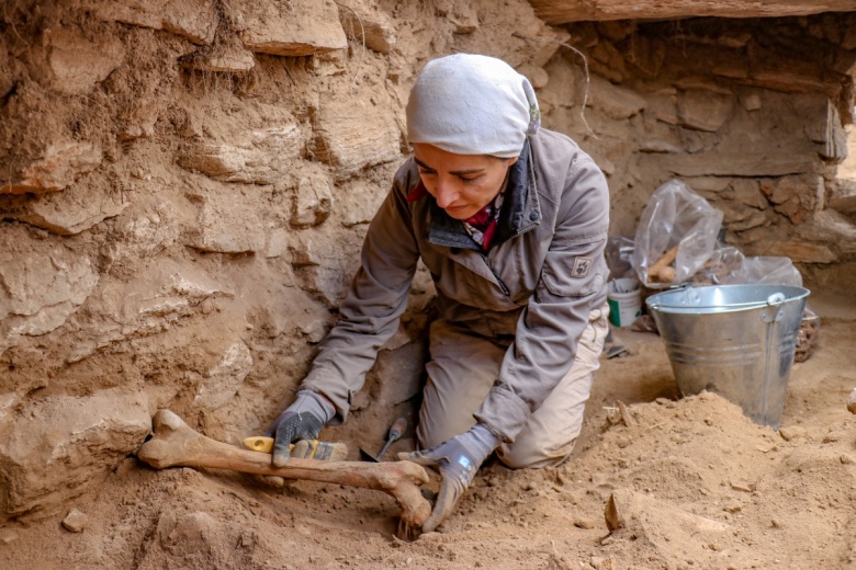 Van'da binlerce yıl önce 4 ayrı tür beyin ameliyatı yapıldığı arkeoloji kazıları ile ispatlandı