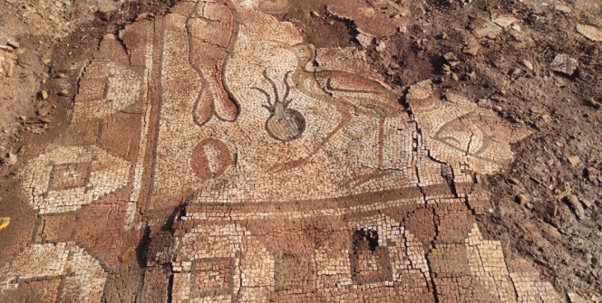 Kızıltepedeki Kela Hanmada arkeologlar ilk kez deniz canlısı figürlü mozaik buldu