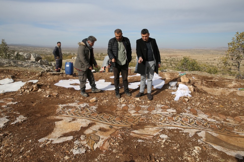 Kızıltepe'deki Kela Hanma'da arkeologlar ilk kez deniz canlısı figürlü mozaik buldu