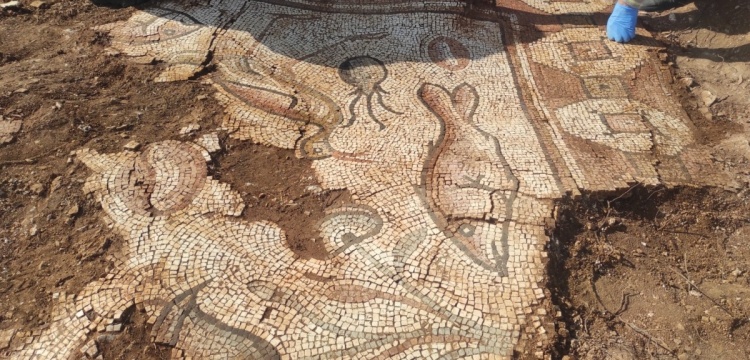 Mardin'de definecilerin yağmaladığı Hanım Kalesi'nde mozaikli Roma yazlık villası bulundu