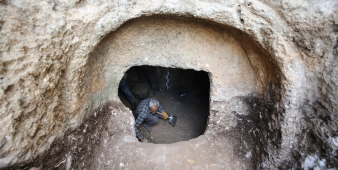 Kızıltepedeki arkeoloji kazılarında 1500 yıllık Anadolu leoparı kemikleri bulundu