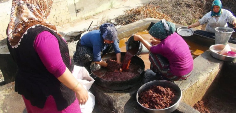 UNESCO'nun onayladığı Geleneksel Türk Zeytin Yetiştiriciliği Uygulamaları