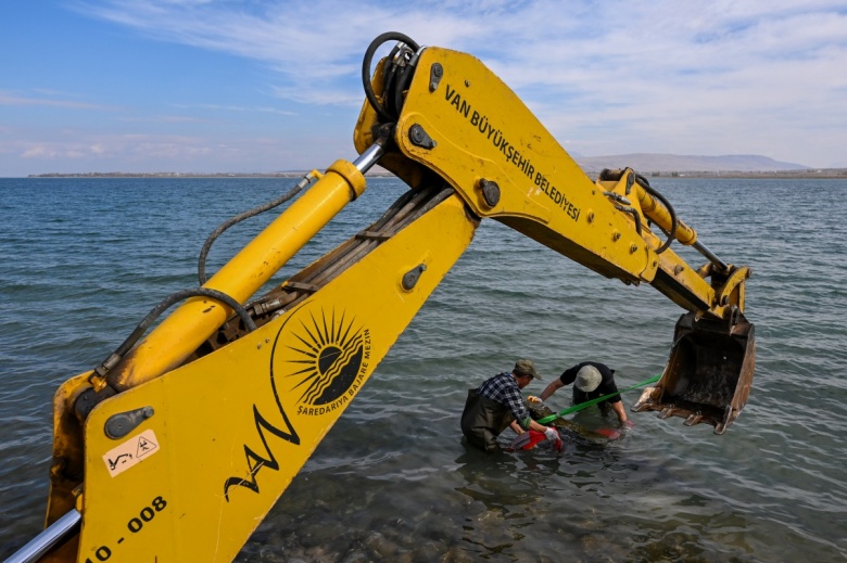 Van Gölü'nden çıkarılan Selçuklu Mezar Taşları, restore edilerek korumaya alınıyor
