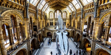 İkiyüz milyon yıllık fosil dahil 1700e yakın tarihi eser Londra müzelerinden kaybolmuş