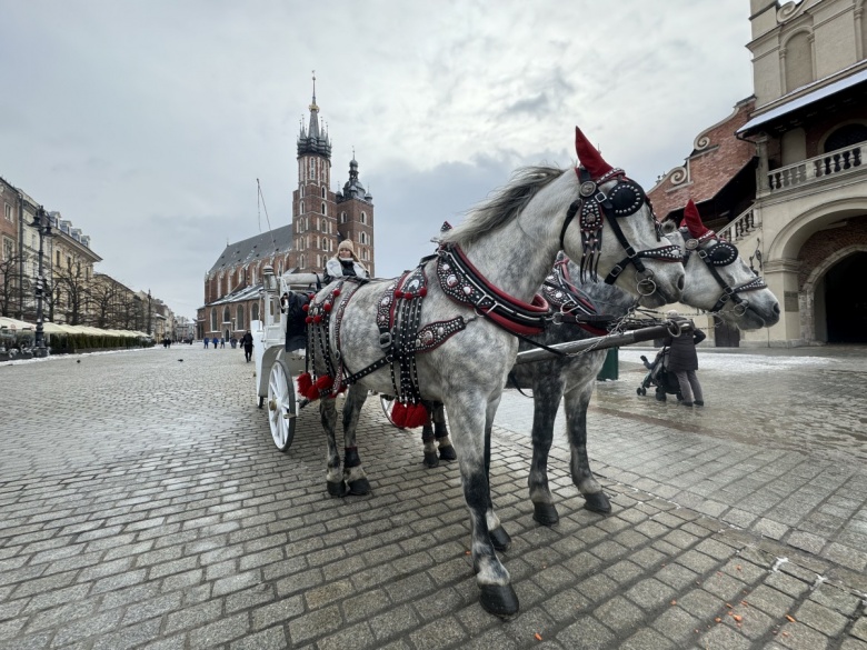 Krakow: Polonya'nın Kalbi sayılan eski başkenti