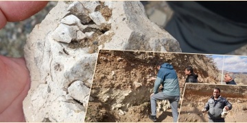 Niğdeli köylü bulduğu taşı dinozor fosili sandı, enformatik cehaleti göz önüne serdi!