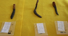 Oluz Höyük arkeoloji kazılarında ahşap saplı Pers ve Med bıçakları bulundu