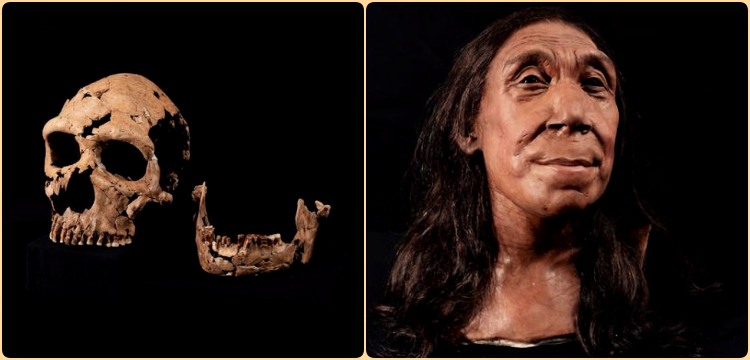 Irak'ta bulunan 75 Bin Yıllık Neandertal Kadının yüzünün muhtemelen böyleydi