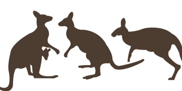 Avustralyada daha önce varlığı bilinmeyen 3 yeni kanguru türüne ait fosiller bulundu