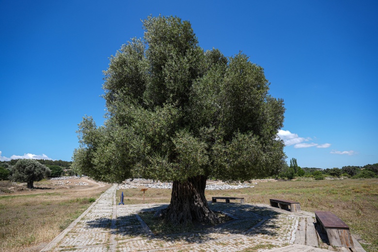 Teos Antik Kenti'nden manzaralar