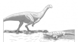 Afrikada Musankwa Sanyatiensis adı verilen yeni bir dinozor türü bulundu
