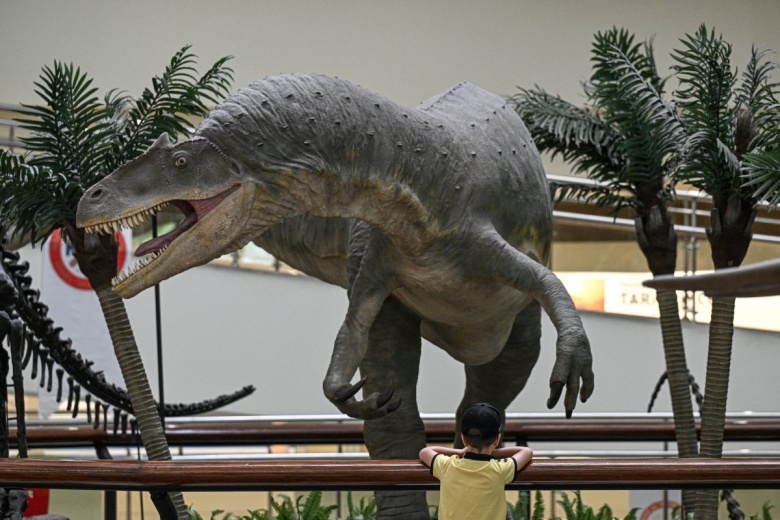 Şehit Cuma Dağ Tabiat Tarihi Müzesi'nde dinozor da var göktaşı da