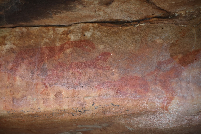 Güney Afrika Cumhuriyeti'nin Cederberg Dağı'ndaki binlerce yıllık mağara resimleri,