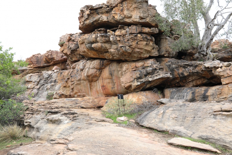 Güney Afrika Cumhuriyeti'nin Cederberg Dağı'ndaki binlerce yıllık mağara resimleri,