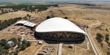 Prof. Dr. Necmi Karul: Göbeklitepedeki ağaçları biz dikmedik! İddialar asılsız!