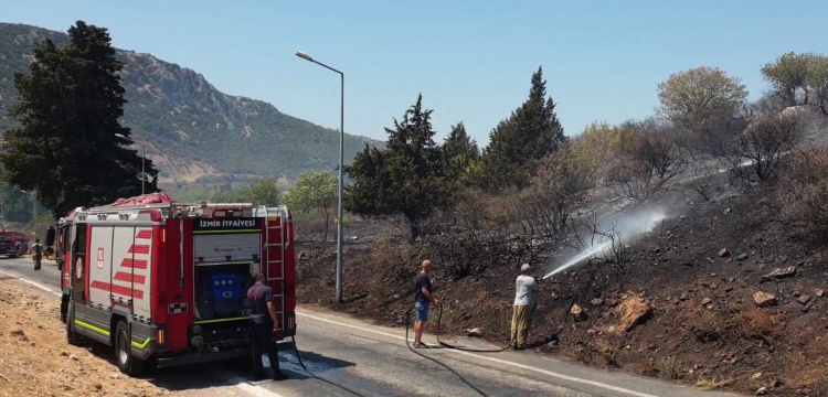 Efes Antik Kenti yangın tehlikesi ile karşı karşıya kaldı