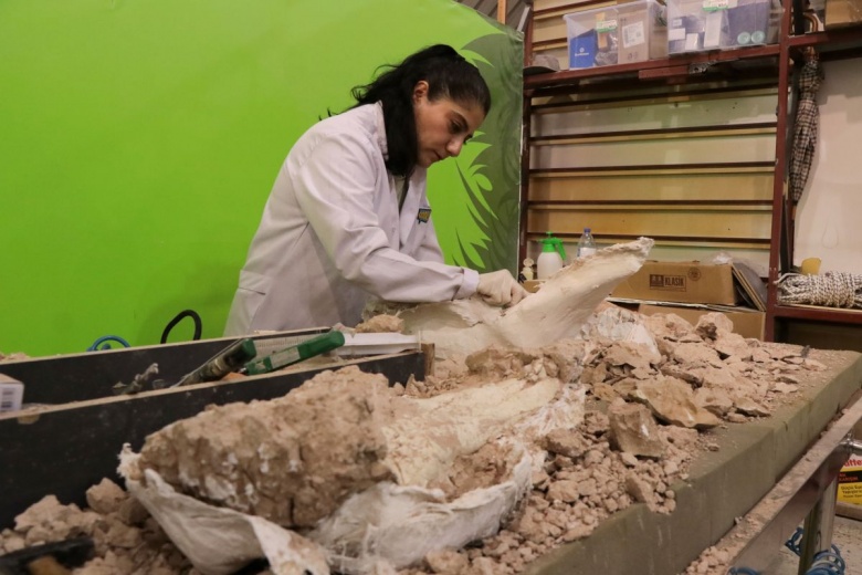 Kayseri'de Paleontoloji Müzesi için hazırlıklar sürerken Yamula'dan yüzlerce yeni fosil çıkıyor