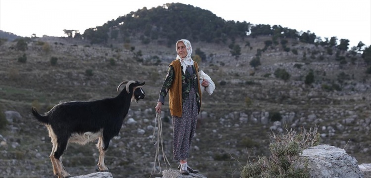 Yörük Fatma Selge Antik Kenti'nde hem çobanlık hem gönüllü koruyuculuk yapıyor