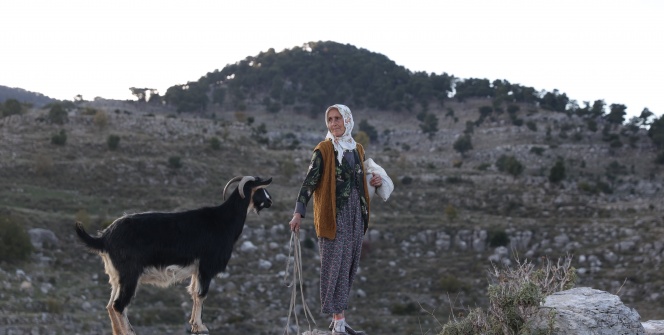 Dağların kızı Fatma, 45 yıldır Toroslardaki Selge Antik Kentinde keçi güdüyor