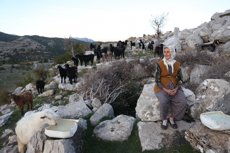 Dağların kızı Fatma, 45 yıldır Toroslardaki Selge Antik Kenti'nde keçi güdüyor