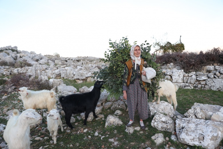 Dağların kızı Fatma, 45 yıldır Toroslardaki Selge Antik Kenti'nde keçi güdüyor