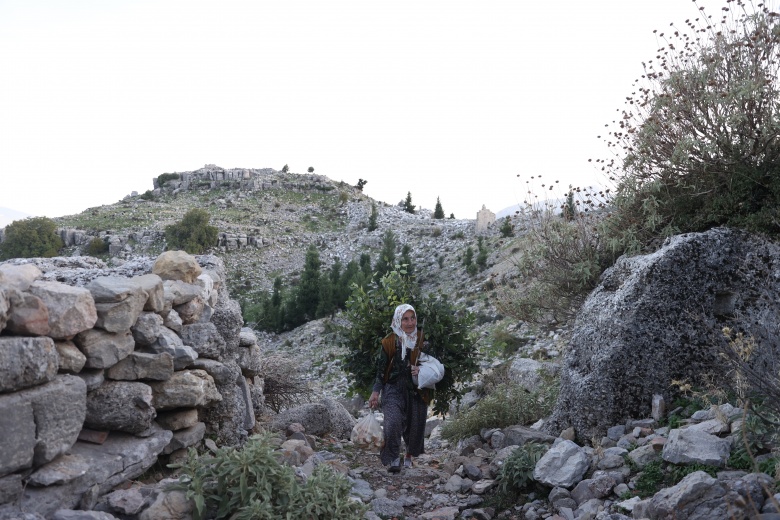 Dağların kızı Fatma, 45 yıldır Toroslardaki Selge Antik Kenti'nde keçi güdüyor