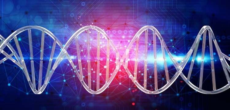 There were the gene that kick off starch digestion  before farming than 800,000 years