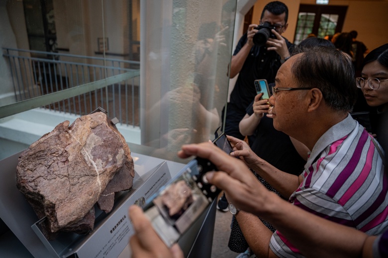 Hong Kong'un ilk dinozor fosili, Hong Kong'lulardan büyük ilgi görüyor