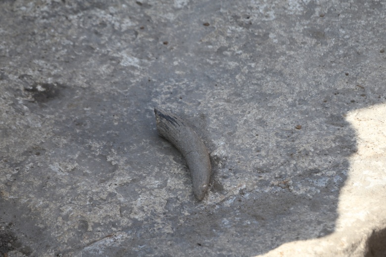 Karahantepe'deki bir yapıda çok sayıda ateş yeri olması dikkat çekti