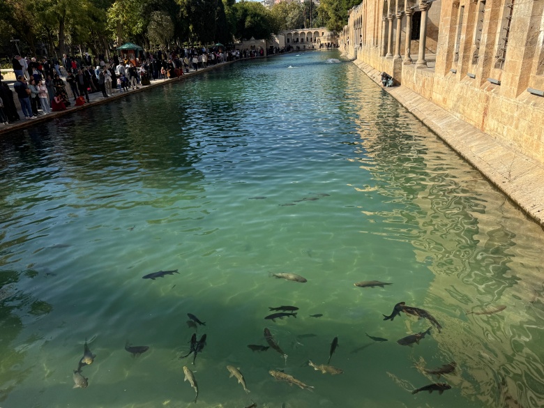 Okulların ara tatile girmesi Balıklıgöl'de ziyaretçi sayısını artırdı