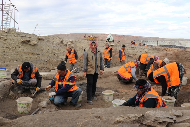 Kütahya'daki Seyitömer Höyüğü'nde Tunç Çağı'ndan kalma haşhaş ve nohut bulundu