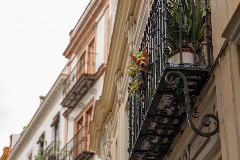 Sevilla'dan manzaralar