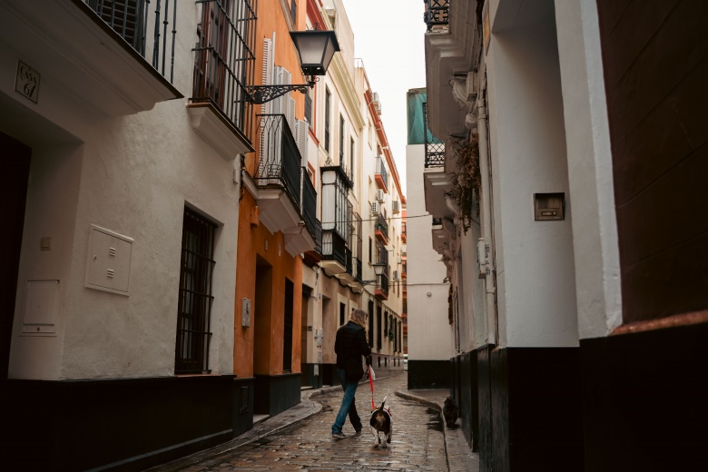 Sevilla'dan manzaralar