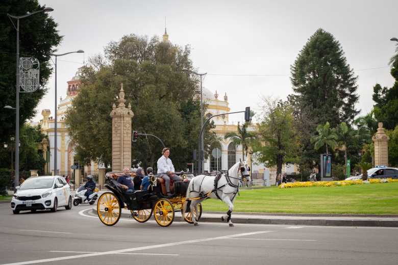 Sevilla'dan manzaralar