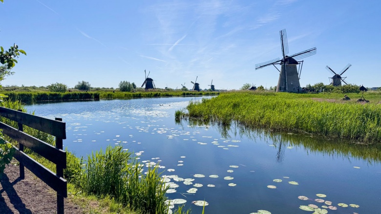 Hollanda'da Ulusal Değirmen Günü'nde yüzlerce değirmen ziyarete açıldı