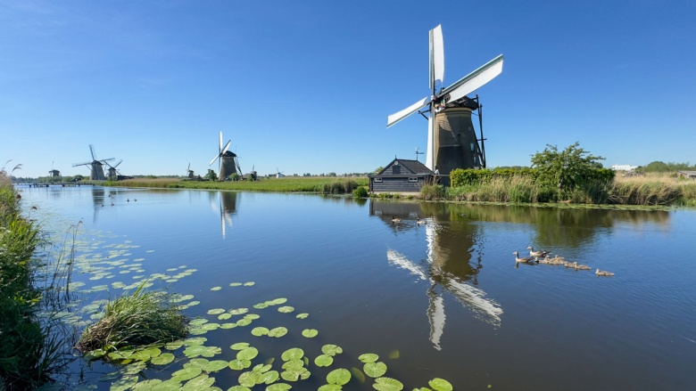 Hollanda'da Ulusal Değirmen Günü'nde yüzlerce değirmen ziyarete açıldı